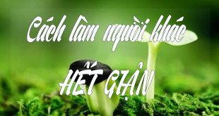 Cách làm người khác hết giận