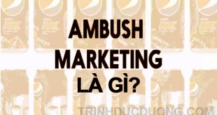 Ambush Marketing là gì