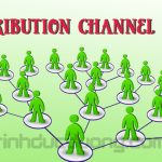 Distribution channel là gì? Chức năng vai trò của kênh phân phối